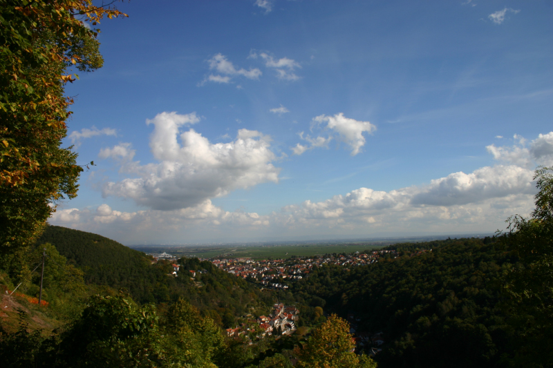 IMG_1483
